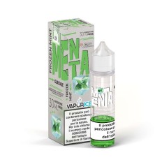 Vaporice Menta 30ml - Mix&Vape